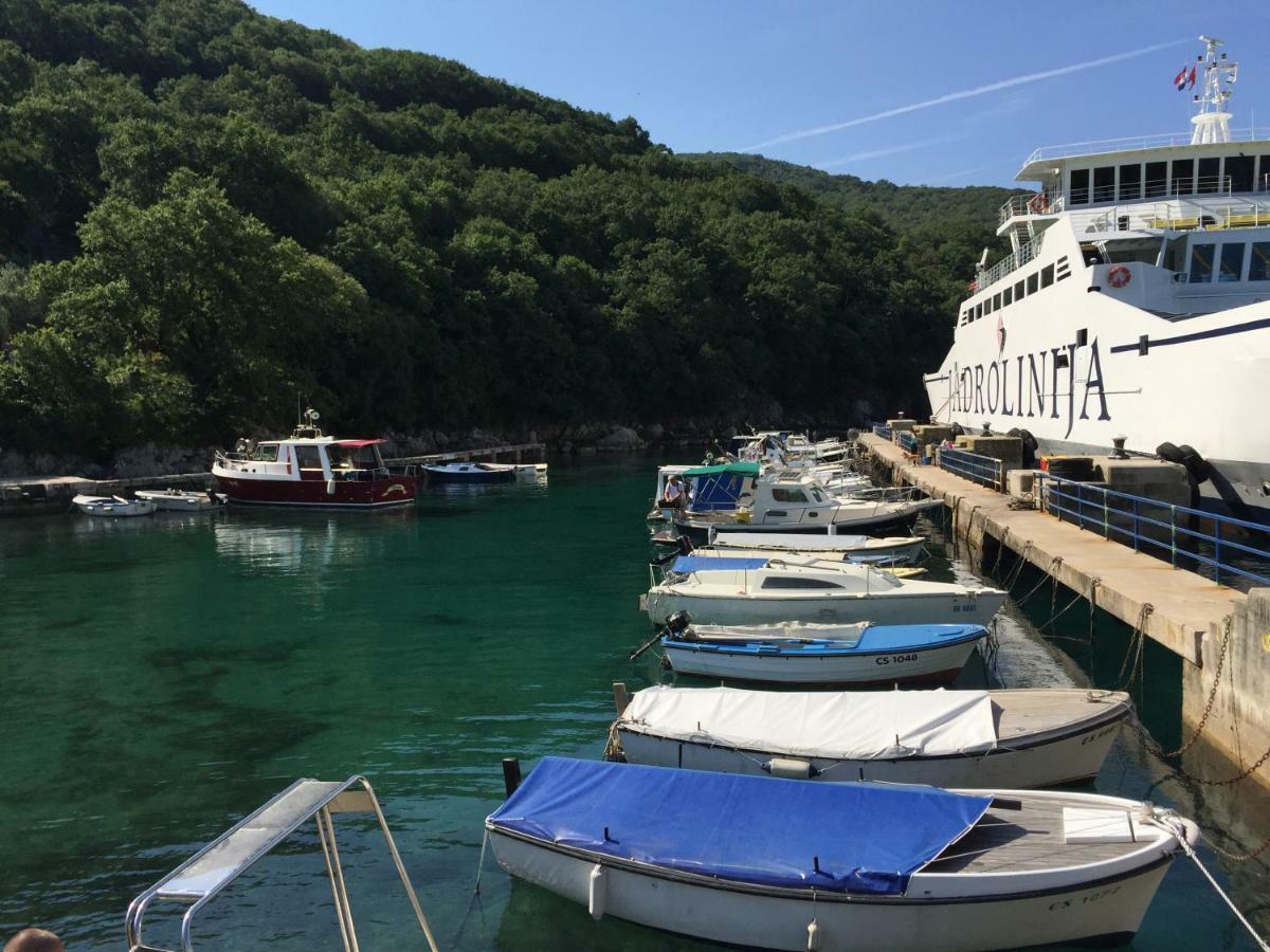 Tramuntana Holiday Home Porozina エクステリア 写真